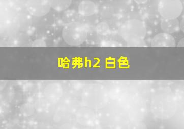 哈弗h2 白色